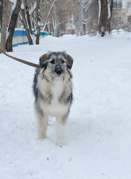 1457 X 2000 188.3 Kb   .