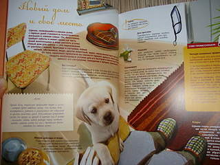 1920 X 1440 299.5 Kb 1920 X 1440 234.6 Kb 1920 X 1440 226.9 Kb   