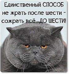 447 X 480  57.2 Kb Улыбнемся?