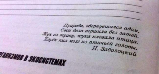 650 x 304 Улыбнемся?