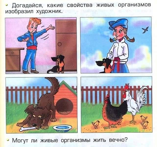 650 X 608 146.7 Kb Улыбнемся?