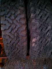 1920 X 2560 326.3 Kb   14 