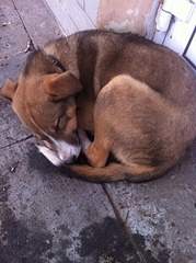 602 X 807 148.0 Kb 605 X 807 193.1 Kb     !