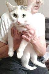 401 X 600 58.5 Kb  .    .