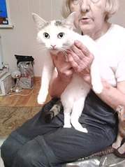 605 X 807 99.0 Kb 401 X 600 58.5 Kb  .    .