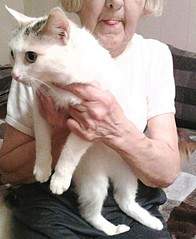 510 X 622 71.6 Kb 605 X 807 99.0 Kb 401 X 600 58.5 Kb  .    .