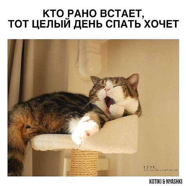 640 X 640  34.0 Kb Улыбнемся?