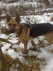 1920 X 2560 581.3 Kb  