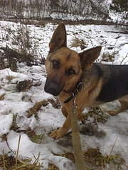 1920 X 2560 557.6 Kb 1920 X 2560 581.3 Kb  