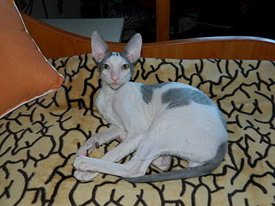 1920 X 1440 680.5 Kb 1920 X 1440 646.1 Kb   , 