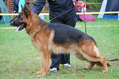 800 X 536 129.5 Kb  \  ,      