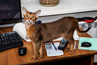 1024 X 683 394.9 Kb      - 