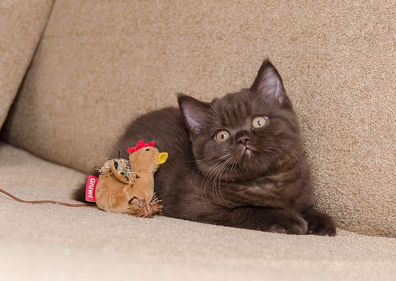 1920 X 1363 741.6 Kb 1920 X 1371 846.3 Kb   