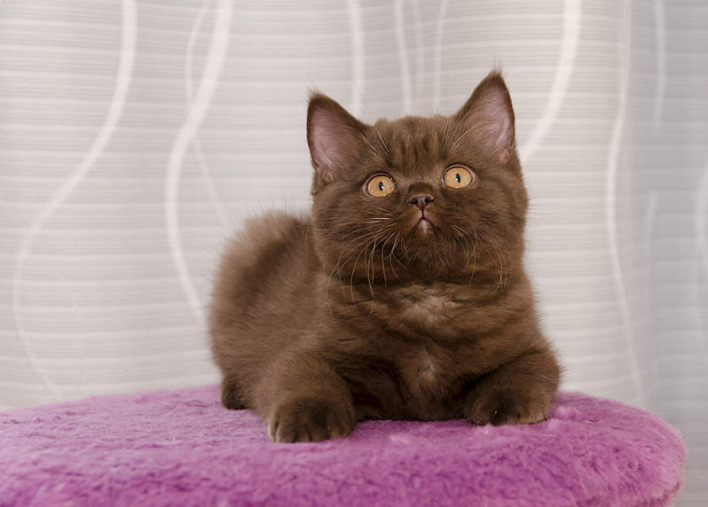 1920 X 1375 412.4 Kb 1920 X 1363 741.6 Kb 1920 X 1371 846.3 Kb   