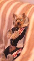 1746 X 3104 232.2 Kb    