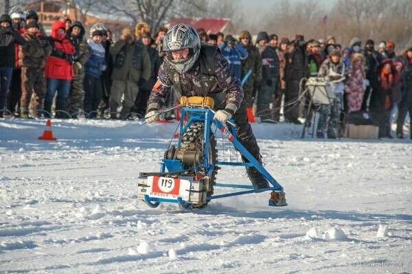 600 x 399 SNOWDOGS 2015-