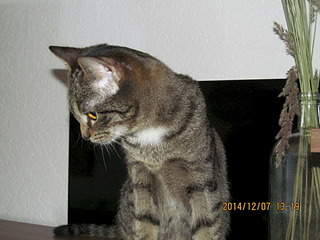 1920 X 1440 662.9 Kb   - , , .