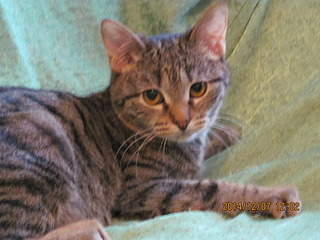 1920 X 1440 687.4 Kb 1920 X 1440 662.9 Kb   - , , .