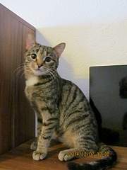 1920 X 2560 345.8 Kb 1920 X 1440 721.0 Kb 1920 X 1440 760.0 Kb 1920 X 1440 687.4 Kb 1920 X 1440 662.9 Kb   - , , .