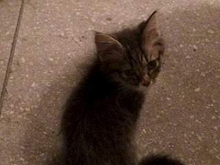 1920 X 1440 393.4 Kb   -  !