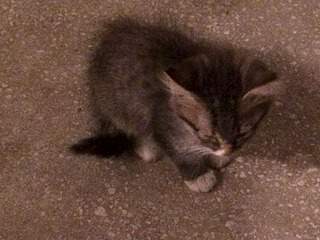 1920 X 1440 421.6 Kb 1920 X 1440 393.4 Kb   -  !