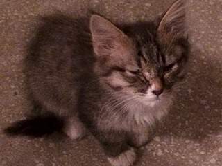 1920 X 1440 391.3 Kb 1920 X 1440 421.6 Kb 1920 X 1440 393.4 Kb   -  !