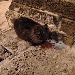 1920 X 1920 810.2 Kb   ()