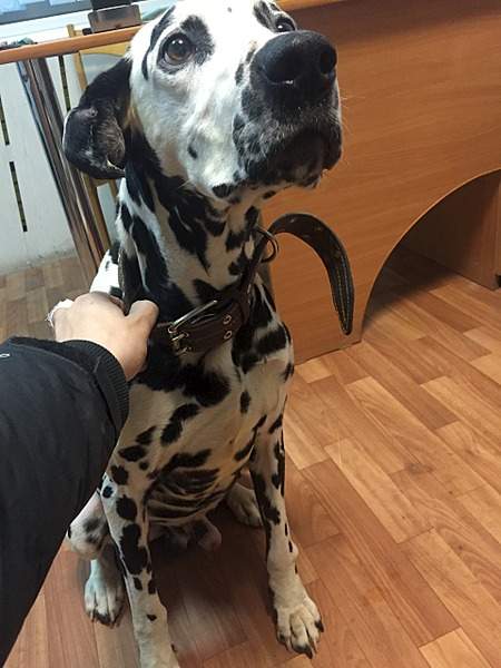 1920 X 2560 856.8 Kb 1920 X 2560 819.2 Kb  