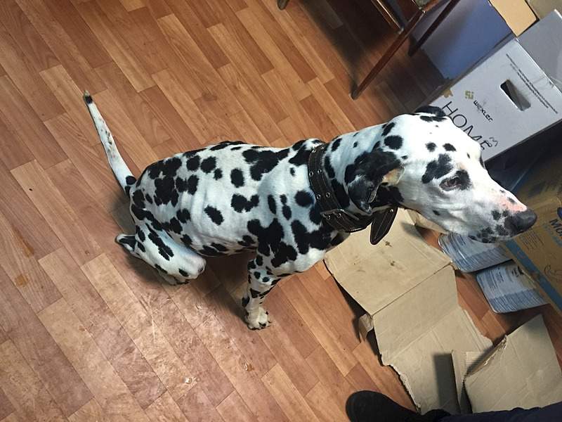 1920 X 1440 596.5 Kb 1920 X 2560 856.8 Kb 1920 X 2560 819.2 Kb  