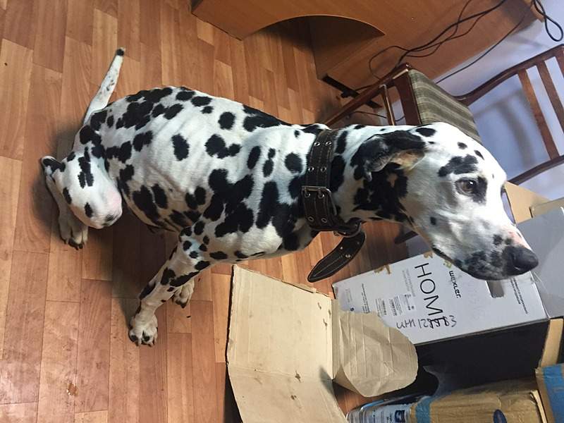 1920 X 1440 550.3 Kb 1920 X 1440 557.2 Kb  