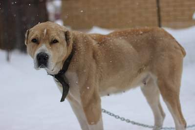 1280 X 853 80.1 Kb 1280 X 853 100.8 Kb  