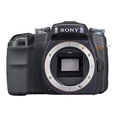 500 X 500  29.4 Kb ������ �������� Sony A100 � Sigma 17-70