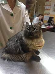 1920 X 2560 806.8 Kb 1920 X 1275 558.8 Kb   ()