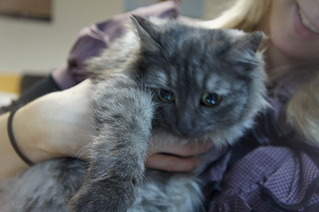 1920 X 1275 449.0 Kb 1920 X 2560 806.8 Kb 1920 X 1275 558.8 Kb   ()