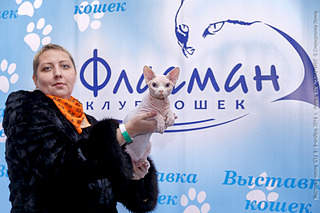 1920 X 1280 554.0 Kb    ...