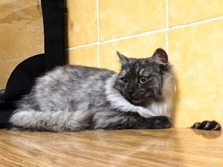 1920 X 1440 430.8 Kb 1920 X 1486 1013.0 Kb   ()