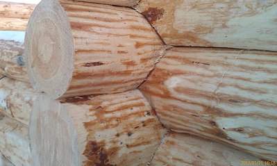 1280 X 766 158.0 Kb 1280 X 960 308.1 Kb 399 x 225 640 X 480 86.7 Kb ♣♣♣    ♣♣♣