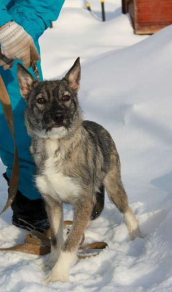 1920 X 3249 370.4 Kb      !