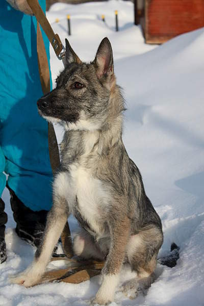 1920 X 2880 893.7 Kb 1920 X 2880 939.7 Kb 1920 X 2880 962.0 Kb 1920 X 3249 370.4 Kb      !