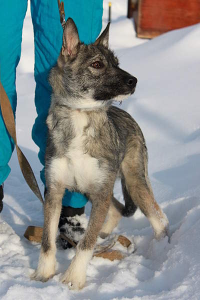 1920 X 2880 927.6 Kb 1920 X 2880 893.7 Kb 1920 X 2880 939.7 Kb 1920 X 2880 962.0 Kb 1920 X 3249 370.4 Kb      !