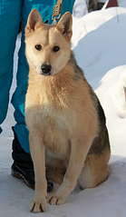 1920 X 3292 279.3 Kb 1920 X 3529 223.0 Kb   . , , .