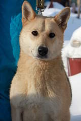 1920 X 2880 725.2 Kb 1920 X 3292 279.3 Kb 1920 X 3529 223.0 Kb   . , , .