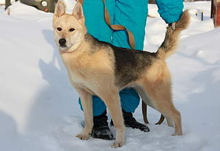 1920 X 1324 845.1 Kb 1920 X 2880 725.2 Kb 1920 X 3292 279.3 Kb 1920 X 3529 223.0 Kb   . , , .