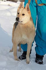 1920 X 2880 797.2 Kb 1920 X 1324 845.1 Kb 1920 X 2880 725.2 Kb 1920 X 3292 279.3 Kb 1920 X 3529 223.0 Kb   . , , .