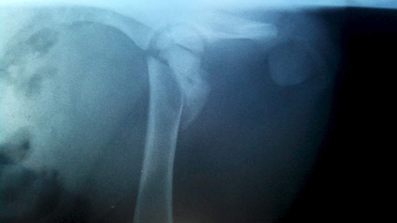 1920 X 1080 395.0 Kb SOS          