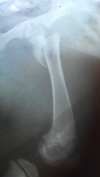 1872 X 3328 151.4 Kb 1872 X 3328 151.4 Kb 1920 X 1080 395.0 Kb SOS          