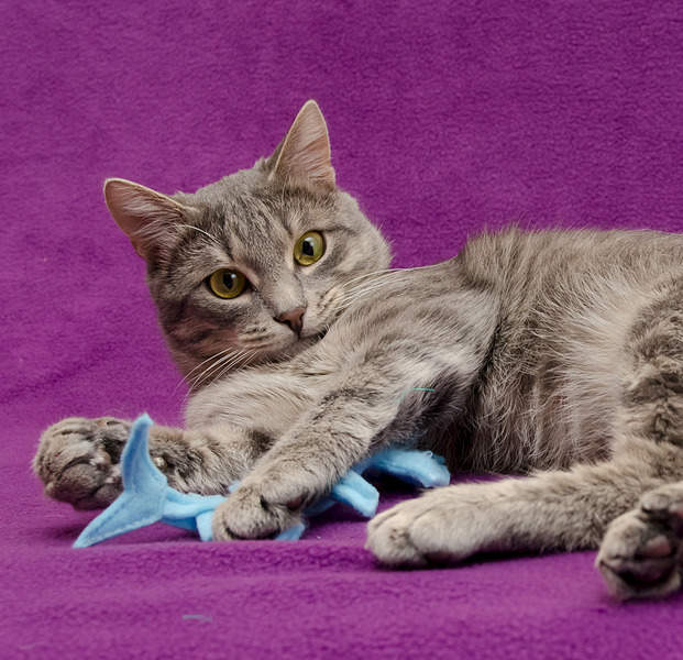 1920 X 1854 363.6 Kb  -   .   .