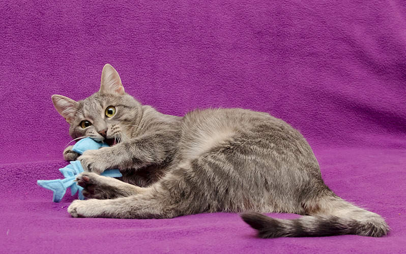 1920 X 1202 803.9 Kb 1920 X 1854 363.6 Kb  -   .   .