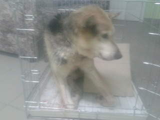 1920 X 1440 412.9 Kb  31.01.2015.  ,  