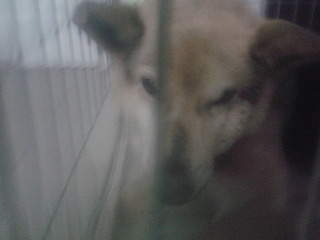 1920 X 1440 437.9 Kb  31.01.2015.  ,  